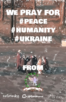 Humanitarian & Donation Series